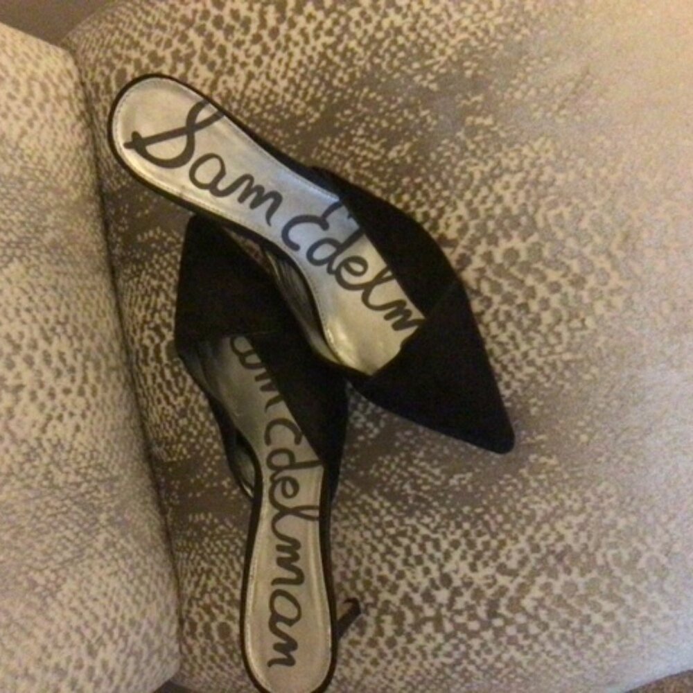 Sam Edelman Hazel Pointed Toe Heels